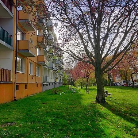 Apartamento Muszelka Kołobrzeg Exterior foto